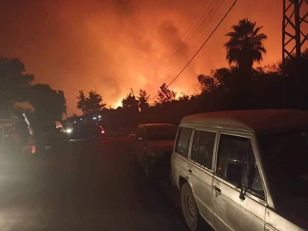 خبير مناخ: الحـر.ائـق المتـتالية في المناطق الساحلية مفتـ.ـعلة وليـست لأسـباب طبيعية