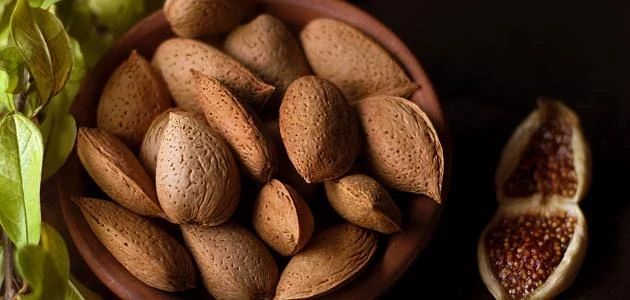 قشور اللوز تتحـول إلى حـل للتـدفئة في سوريا وسط ارتفـاع الأسعار