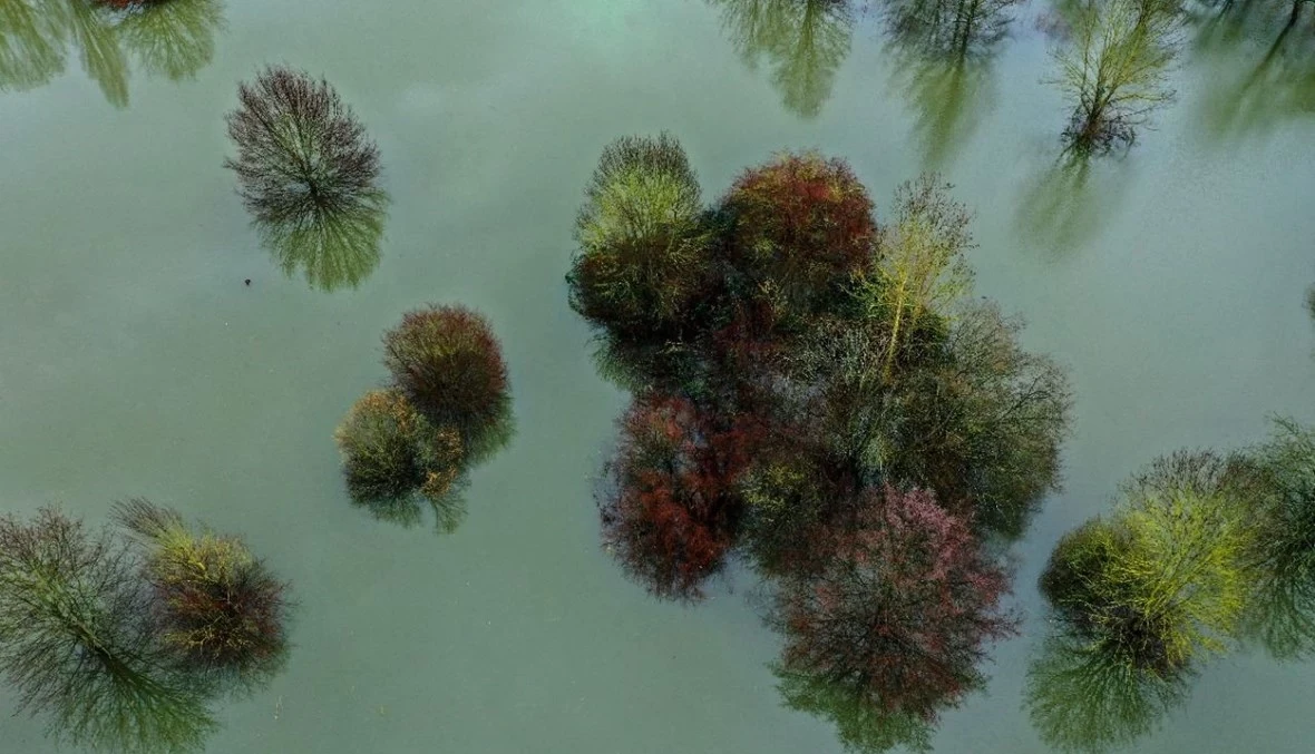 شباط الحالي لا يتكرّر سوى مرّة كلّ 823 عاما!