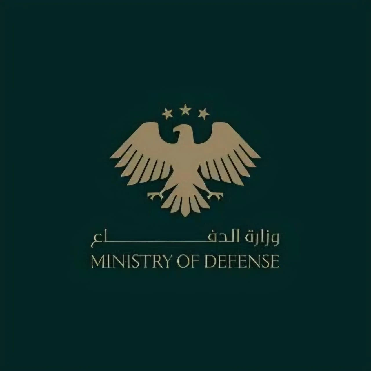 تحذيرات رسمية لسكان الشيخ مقصود والأشرفية في حلب مع تحديد المناطق الآمنة والعسكرية