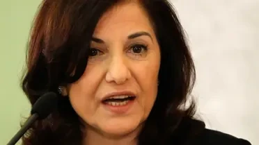 مولـوي: بثيـنة شـعبان دخـلت لبـنان شـرعـيًا ولا وجـود لعـلي مملـوك على أراضـينا