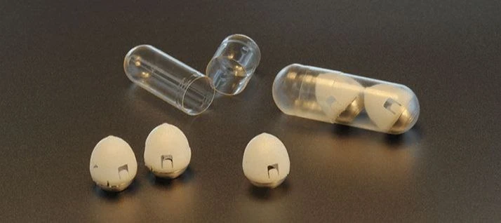 تكنولوجيا الكبسولة الاهتزازية: خطوة نحو علاج فعّال للسمنة وتحكم في الشهية