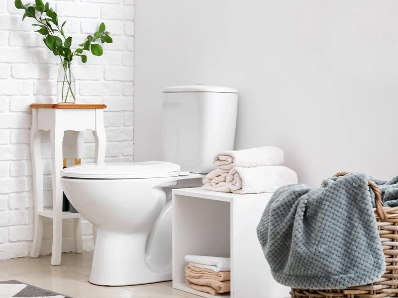 فيديو يظهر أهمية إغلاق مقعد المرحاض قبل الشطف