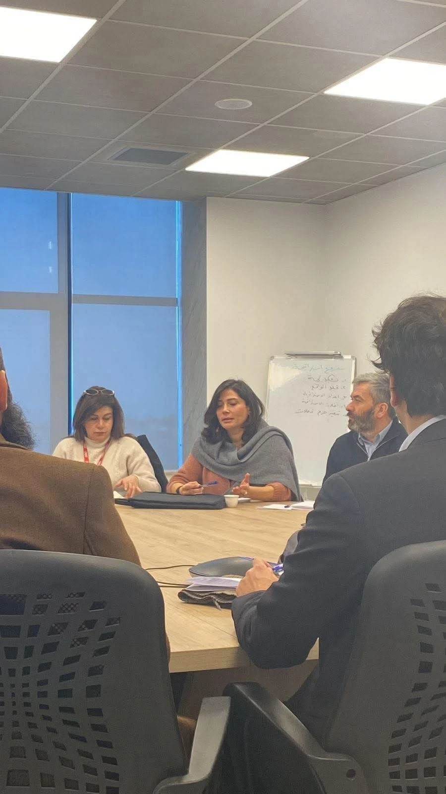 جدل حقوقي بشأن مشاركة ديما شوكت في اجتماع لبرنامج أممي بدمشق