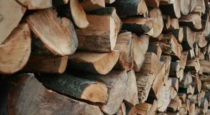 وزارة الزراعة تسـمح باسـتيـراد الحطـب للحـد من التعـديـات على الغـ.ـابات