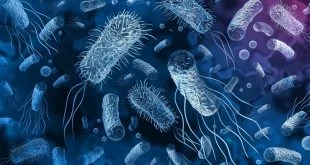 تحذيـرات من انـتشار محتمل لوبـاء الكـولـيرا حول العالم