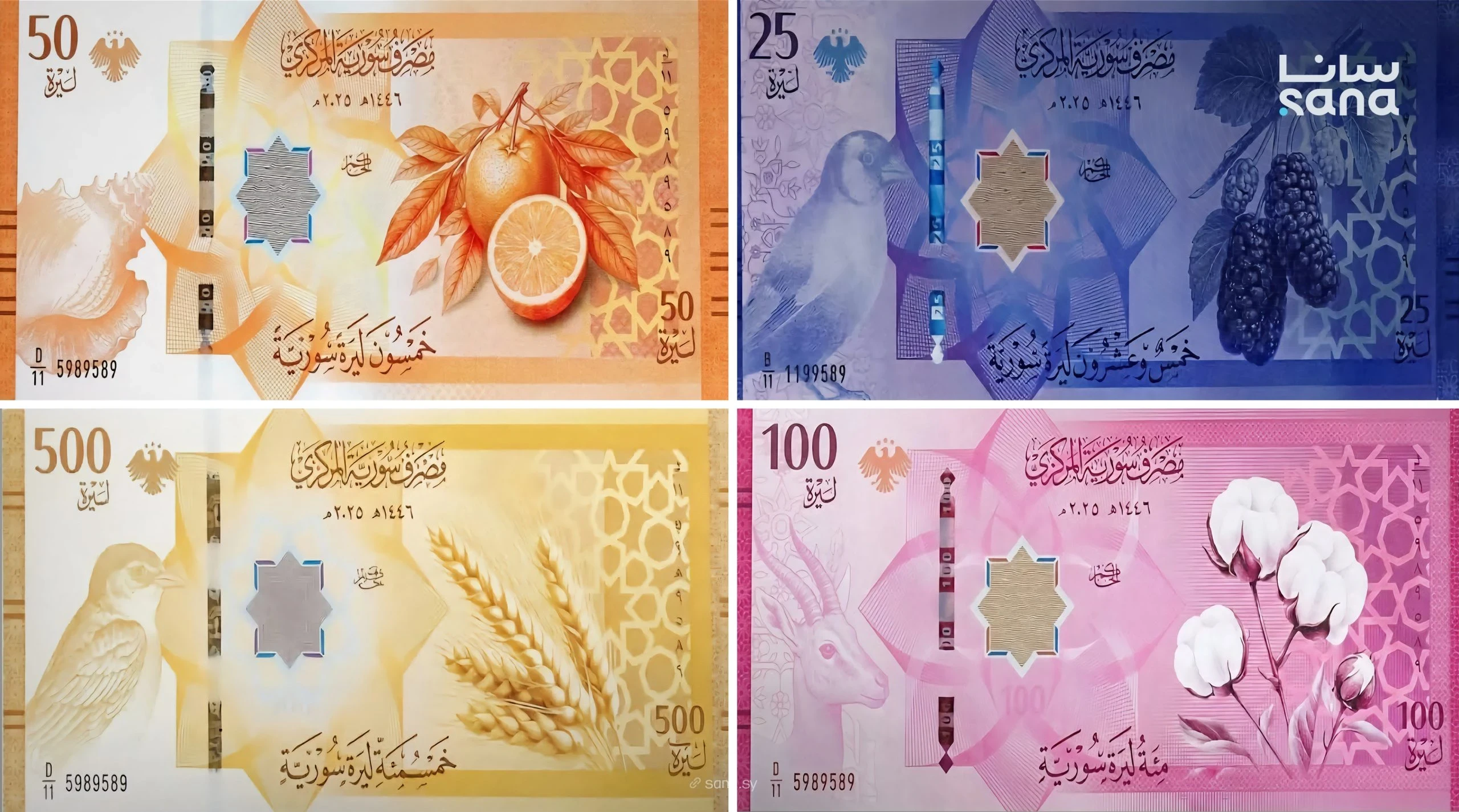 انخفاض متواصل تسجله الليرة السورية الآن