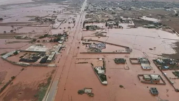 كـارثة الفيضانات وكشف صادم من رئيس مركز الطب الشرعي