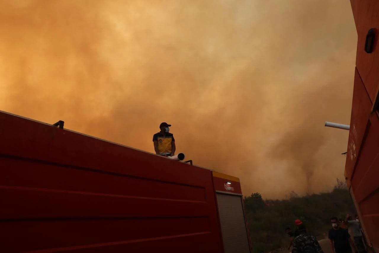 خطوط نار لحماية الغابات في اللاذقية.. خطة واسعة لمواجهة حرائق الصيف