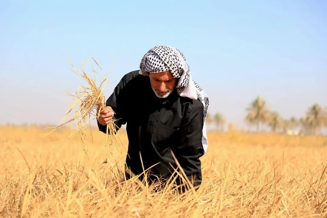 تخفيض عدد موظفي وزارة الزراعة السورية بنسبة 30-40% وعودة النظر في الاتفاقيات المائية