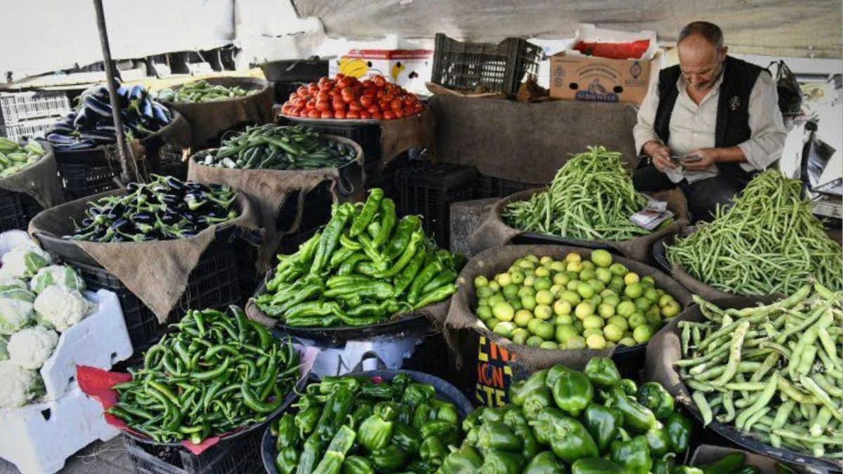 قرار موسمي يخص الاستيراد الزراعي في شباط… كيف سينعكس على الأسواق والأسعار؟