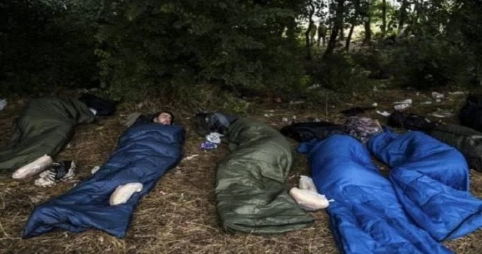 سوريون عالـ.ـقون في صربيا