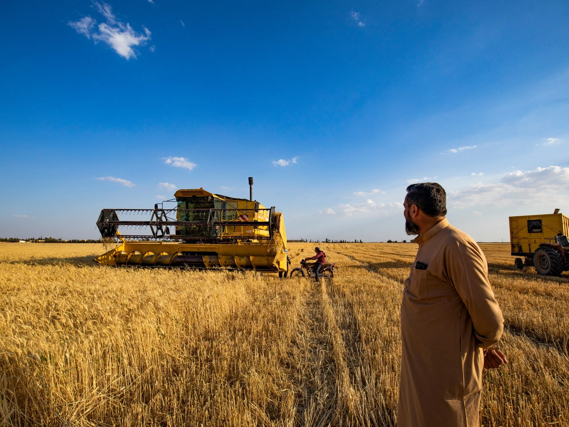 قرار جديد من الإدارة الذاتية في شمال وشرق سوريا بشأن تصدير المحاصيل الزراعية: التفاصيل والشروط