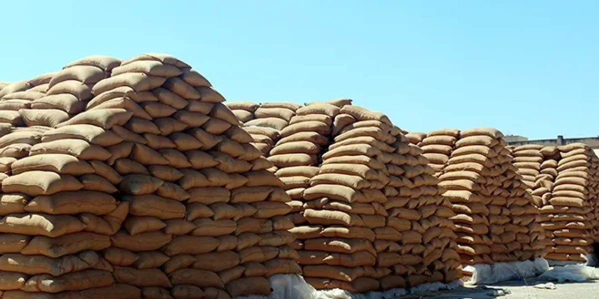 تجاوزات بالمليارات في فروع الحبوب خلال حقبة النظام البائد