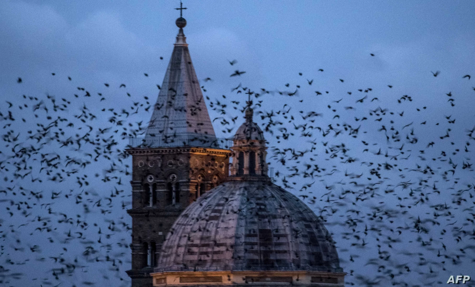 ظاهرة ليست غريبة.. مجزرة في سماء إيطاليا بعد ليلة رأس السنة.. فما القصة؟ (فيديو)