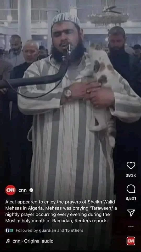 قناة أمريكية تحتفي بالإمام الجزائري الذي شاغلته القطة وعاملها بلطف