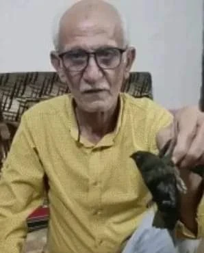 حقيقة ما تم تداوله عن ظهور طير الأبابيل