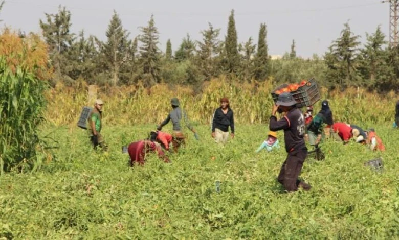 تعـميـم جـديد لدعـم الفـلاحـين في سوريا