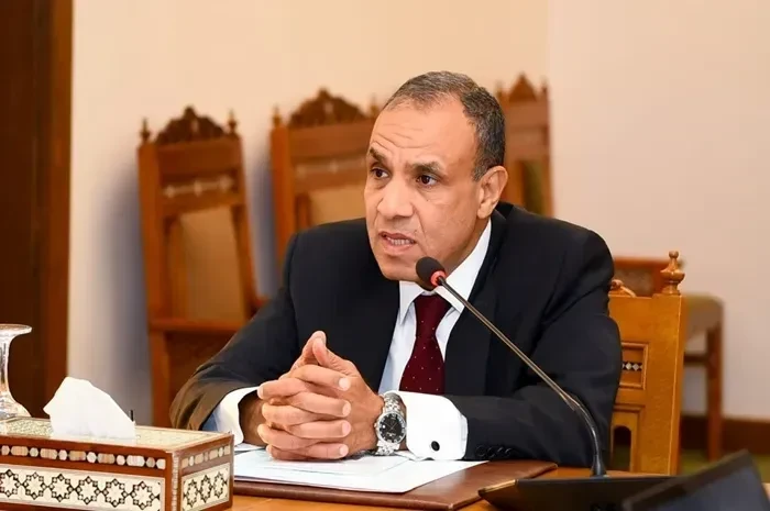 وزير الخارجية المصري يؤكد أهمية عملية سياسية شاملة في سوريا تراعي التعددية