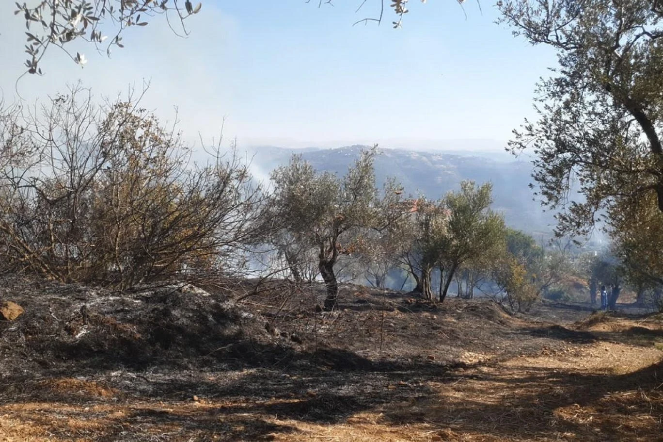 حرائق ضخمة تلتهم مساحات واسعة في ريف اللاذقية.. الدفاع المدني يواجه تحديات كبيرة وسط رياح عاتية!