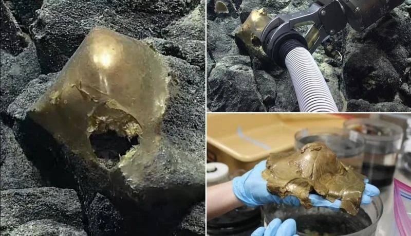 اكـتشـاف غـامـض في أعماق المحيط الهادئ: جسـم ذهبي يثـير تسـاؤلات العلماء