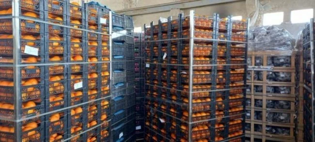 بيان مصرف سورية المركزي حول تقرير إعلامي حول تصدير الحمضيات