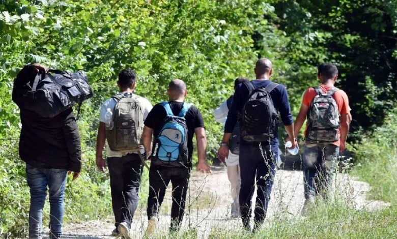 البدء بإصدار بطاقات Visa للدفع المسبق لدعم طالبي اللجوء الوافدين حديثًا